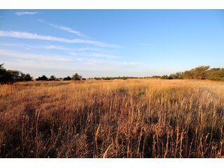 Garfield, County, Oklahoma farmland - LAND AUCTION - 160+/- ACRES OFFERED IN 2 TRACTS IN GARFIELD COUNTY, OKLAHOMA